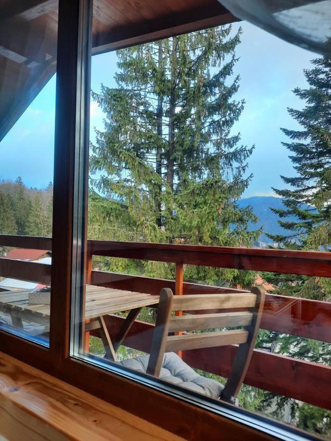 Kalinderu Luxury Ski Loft Buşteni Exteriör bild